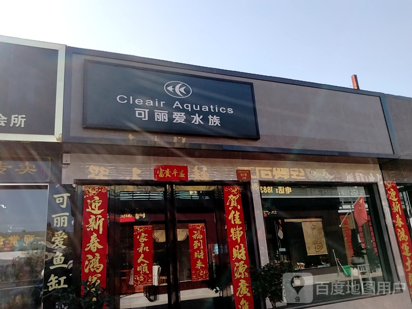 可丽爱水族(南阳花鸟市场店)