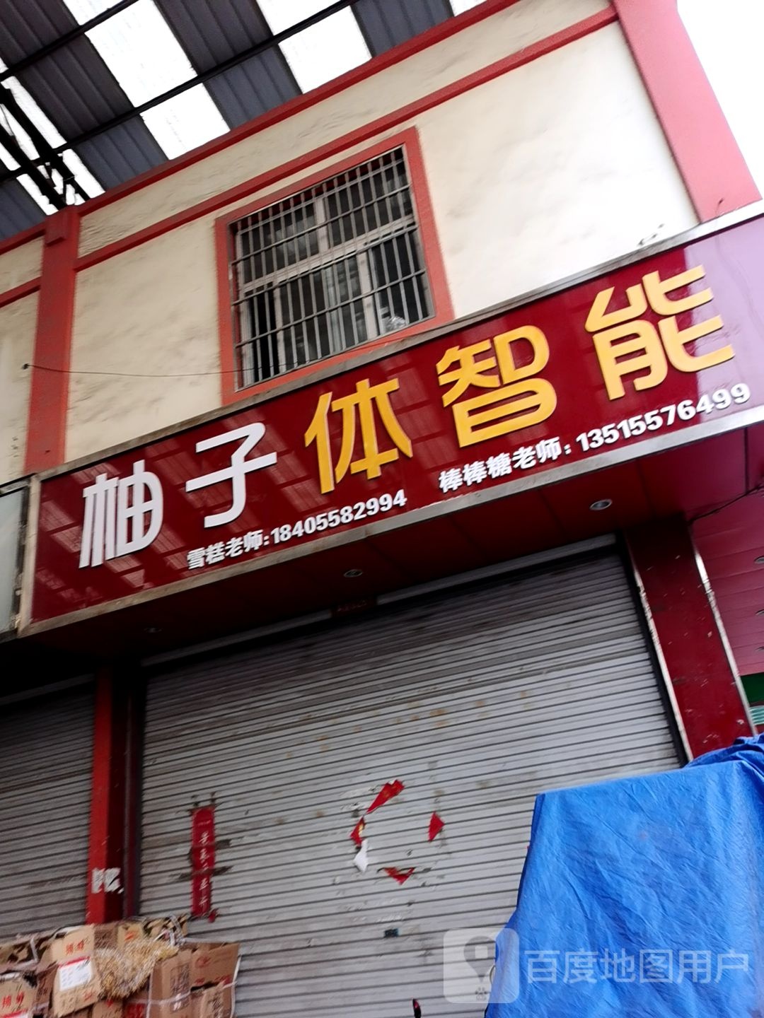 柚子体智能
