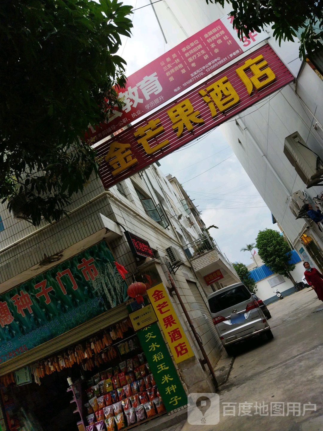 金芒果酒店