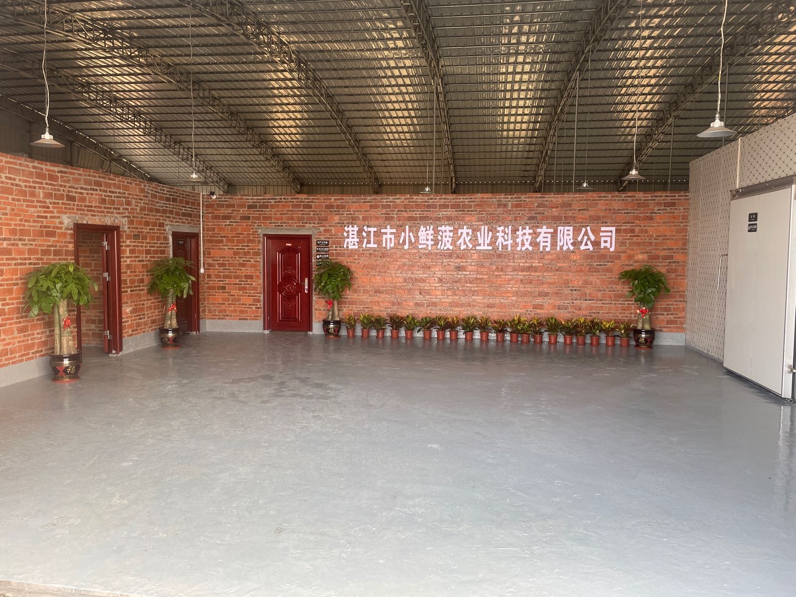 湛江市小鲜菠农业科技有限公司