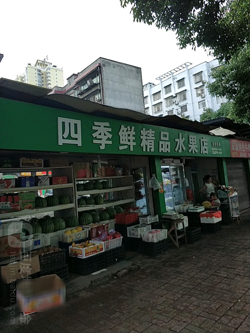 四季鲜果