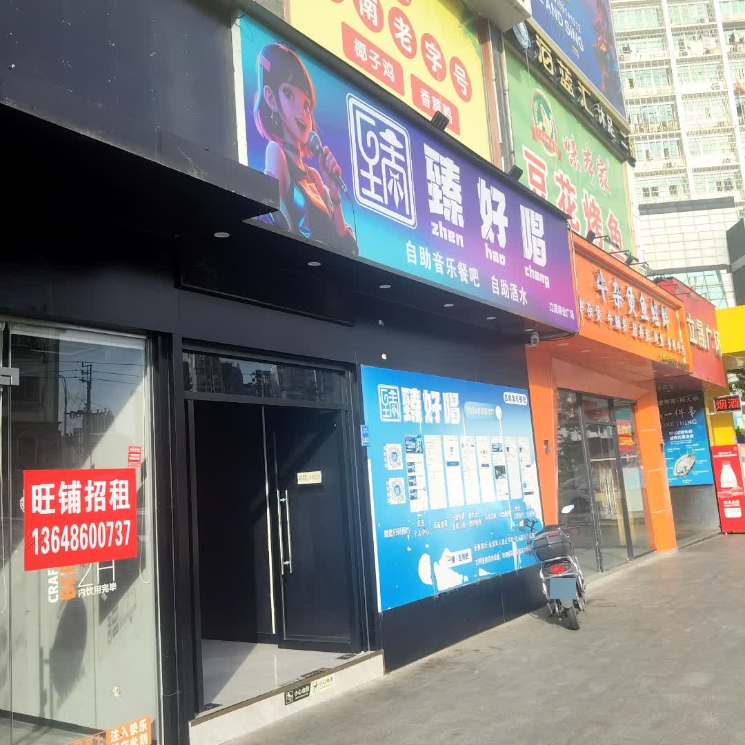 臻好唱(立晟广场店)