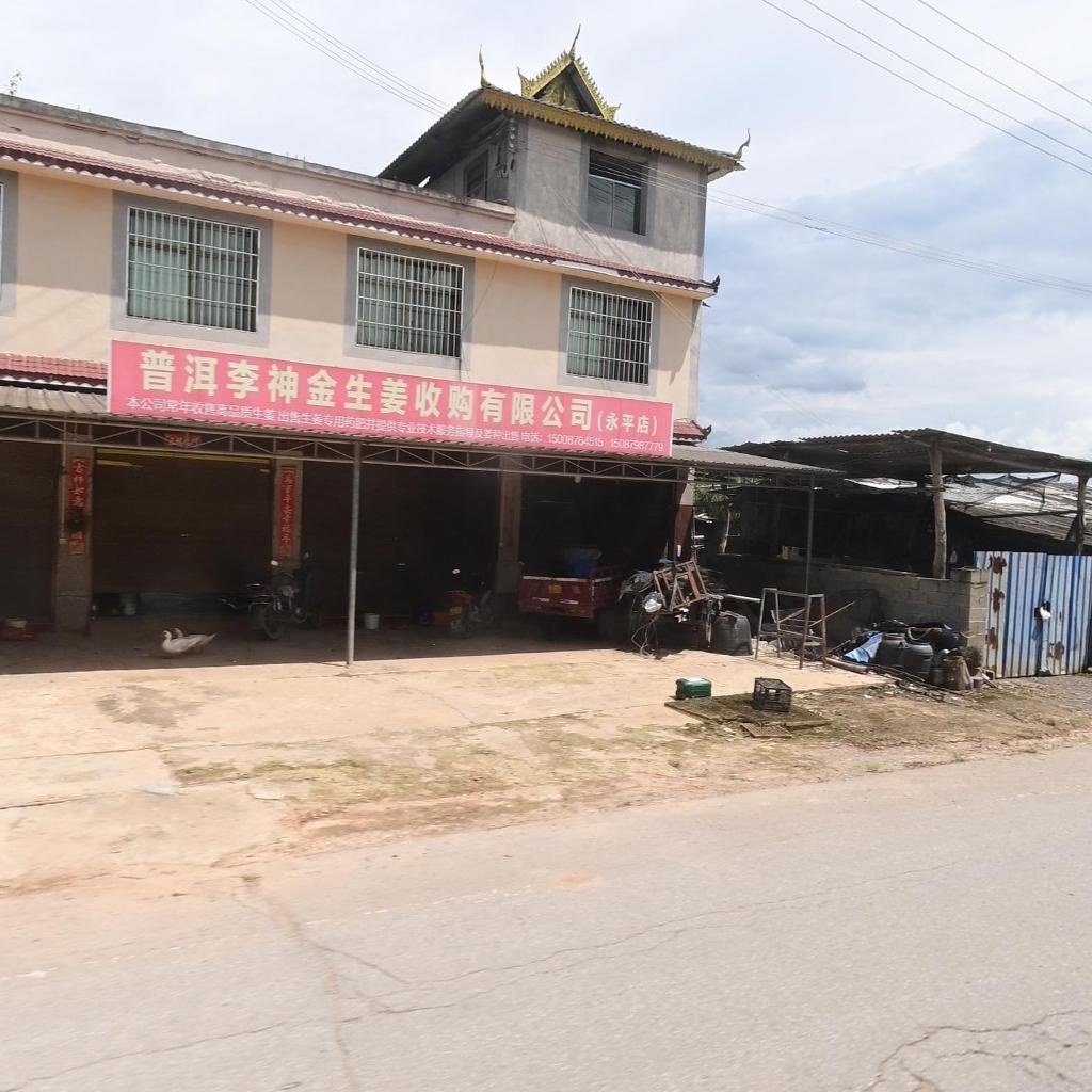 普洱李神金生姜收购有限公司(永平店)