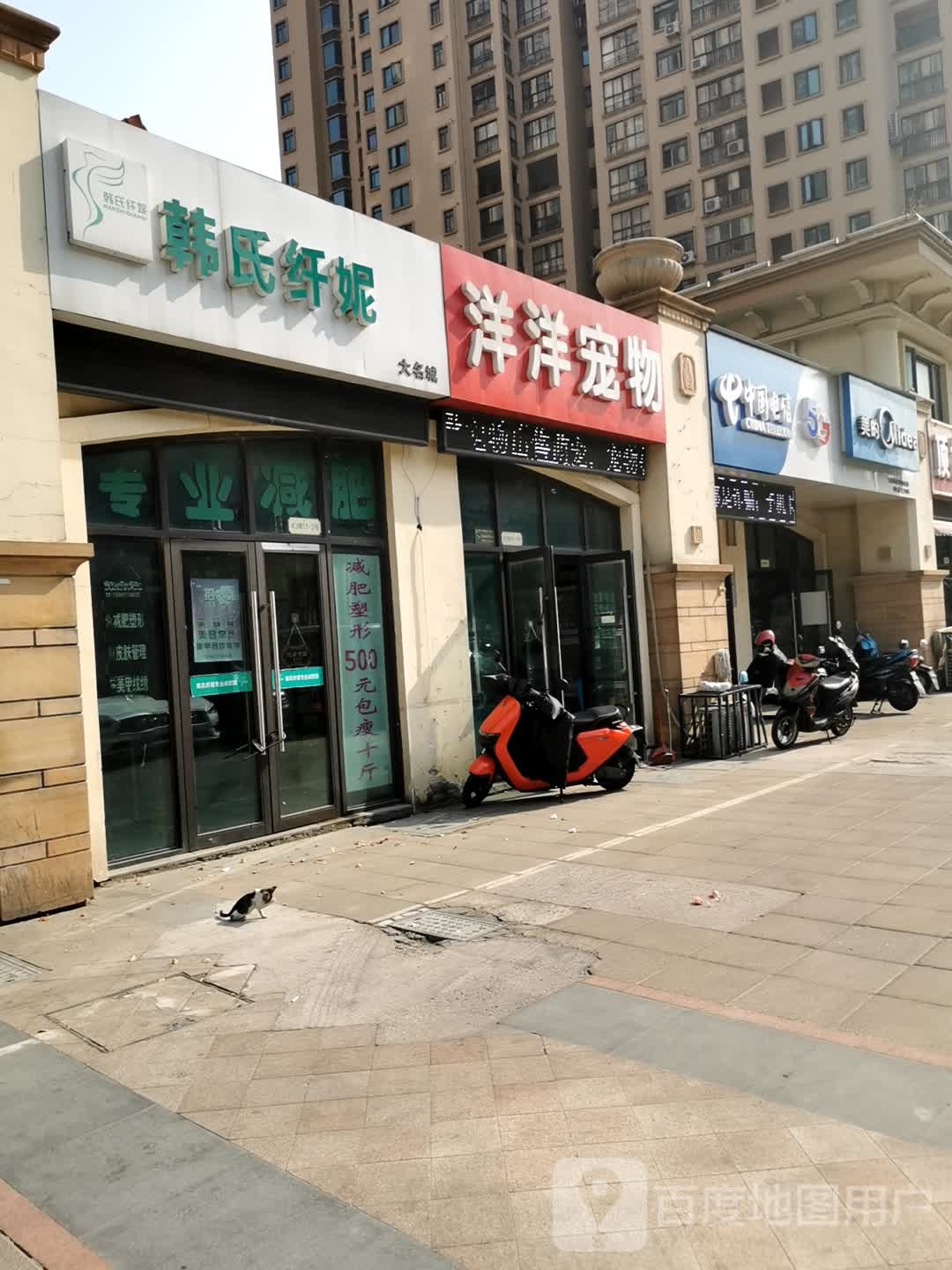 洋洋宠物(华山中路店)