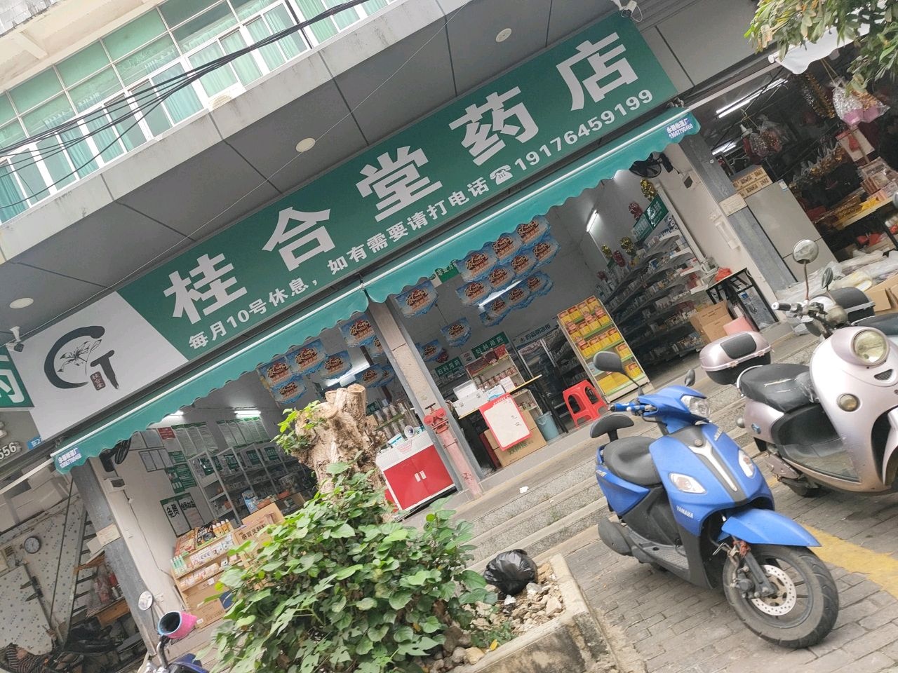 桂合堂药店