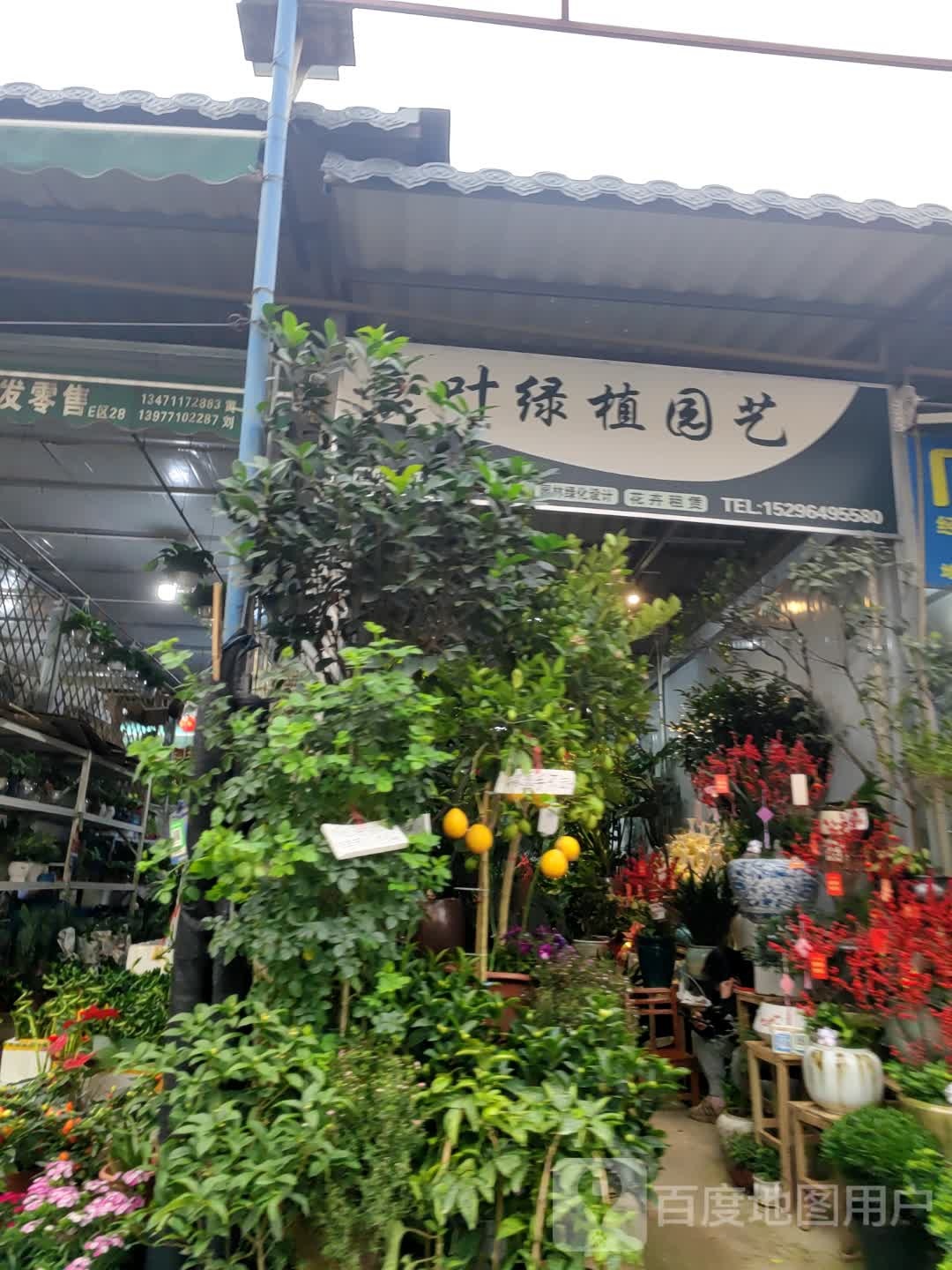 嘉叶绿植园艺(广西花鸟交易市场店)