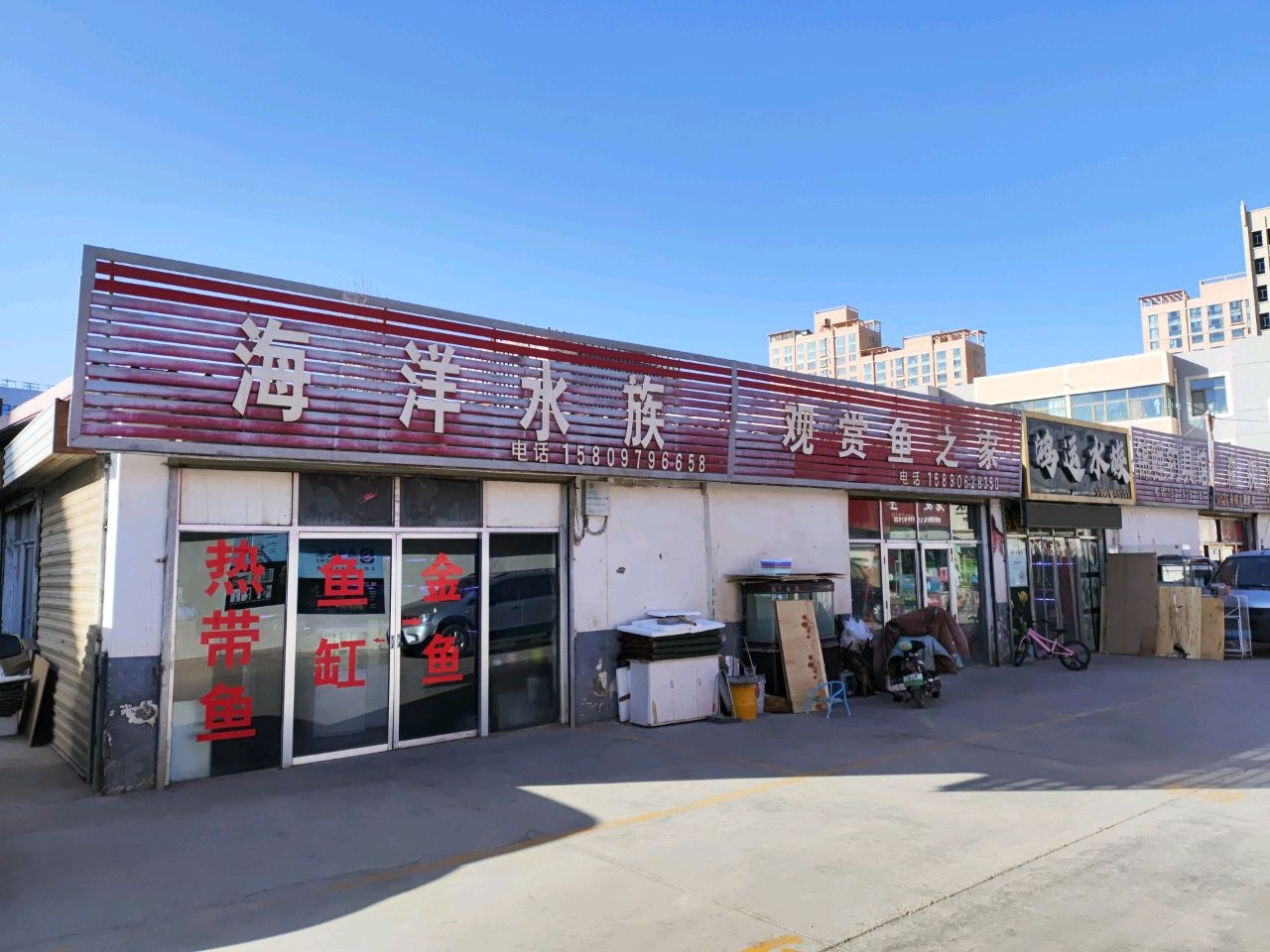 海洋水族