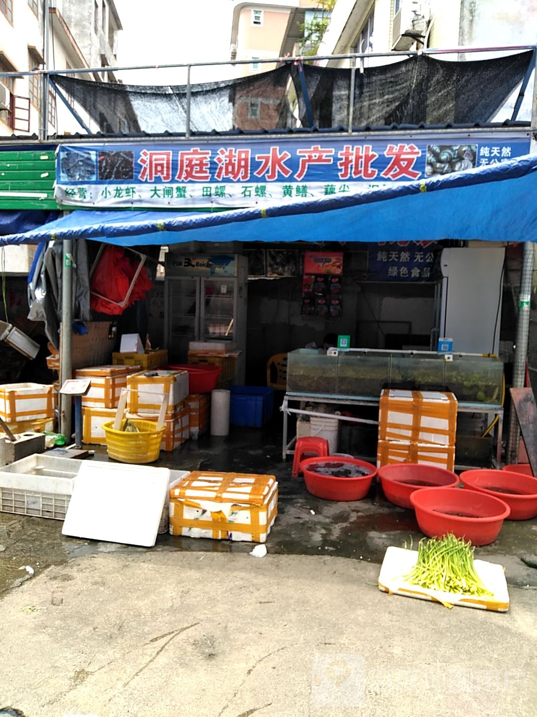 洞亭湖水产批发