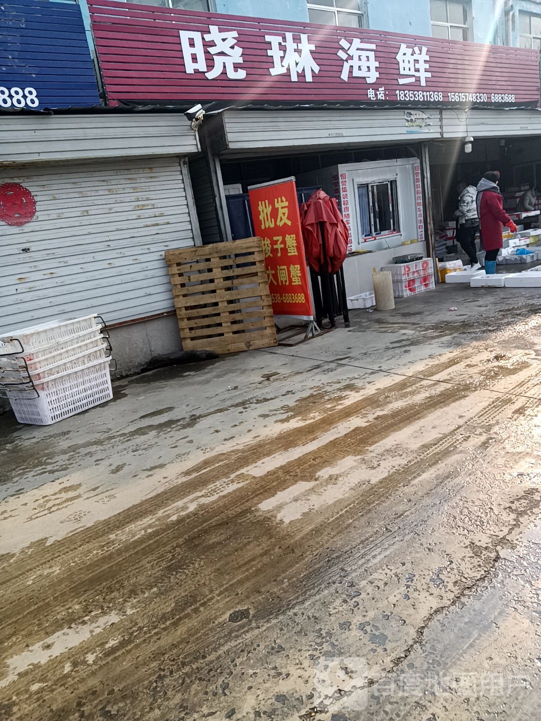 晓琳海鲜批fa
