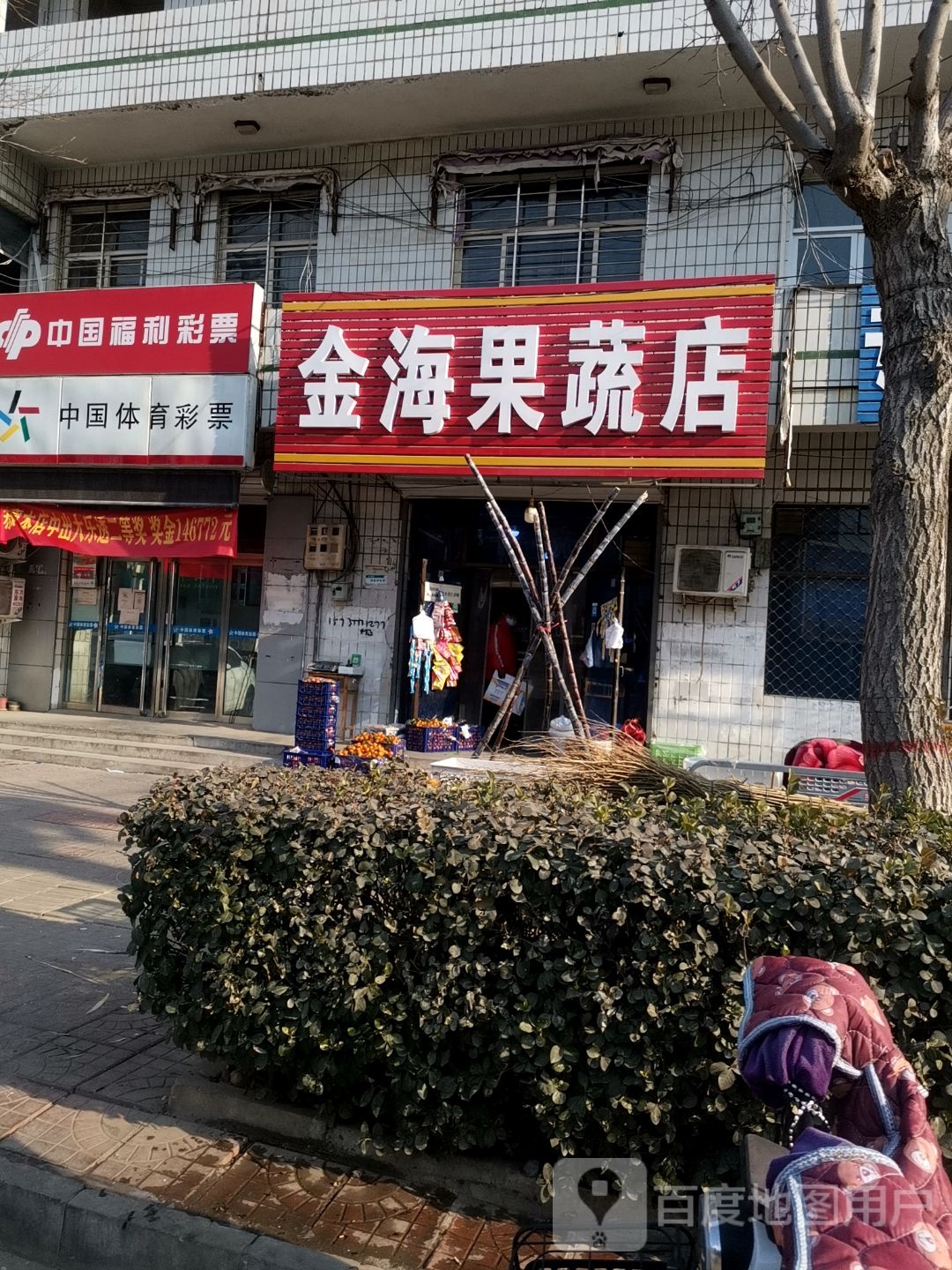 金海水果店