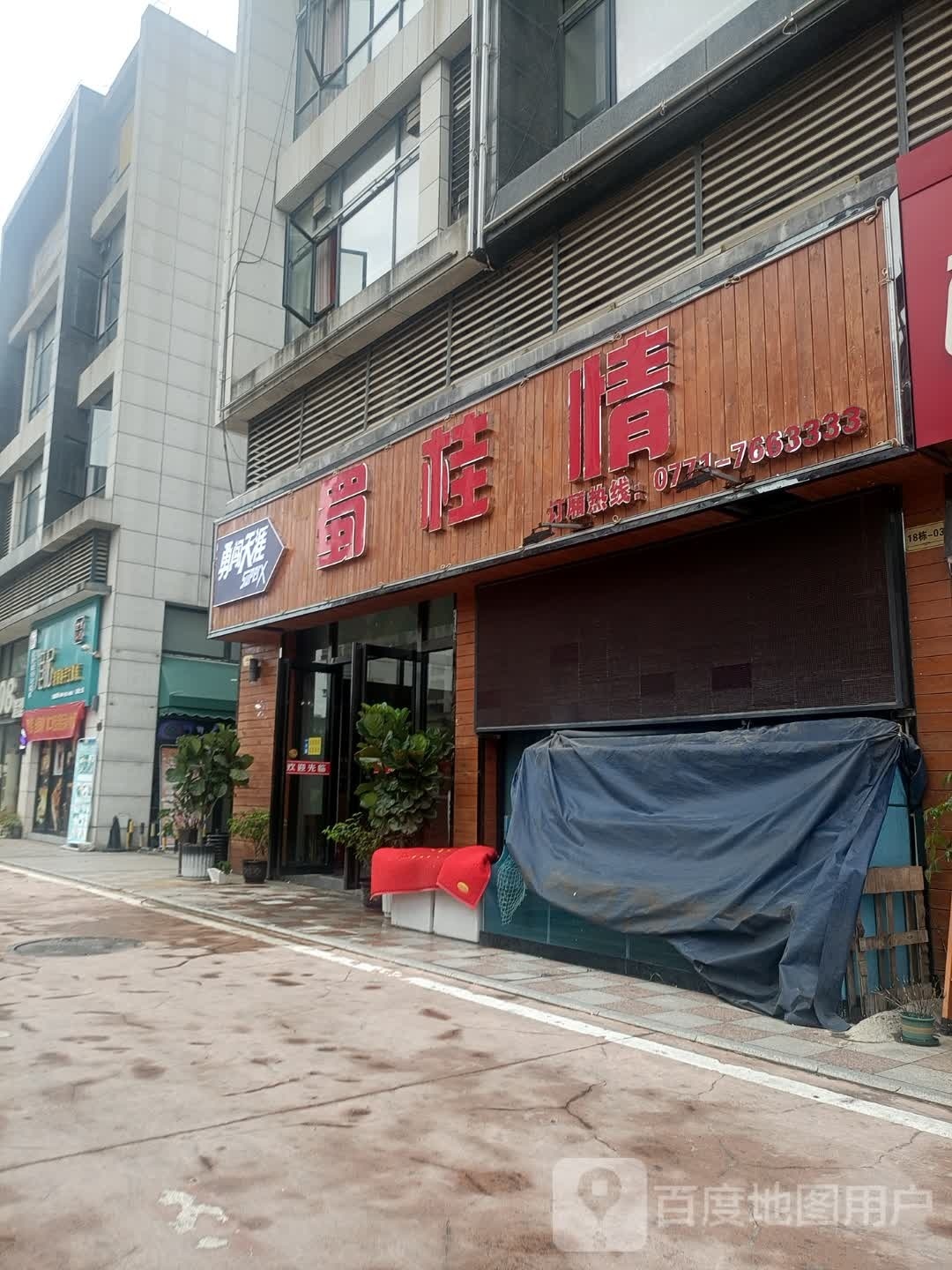 蜀桂情