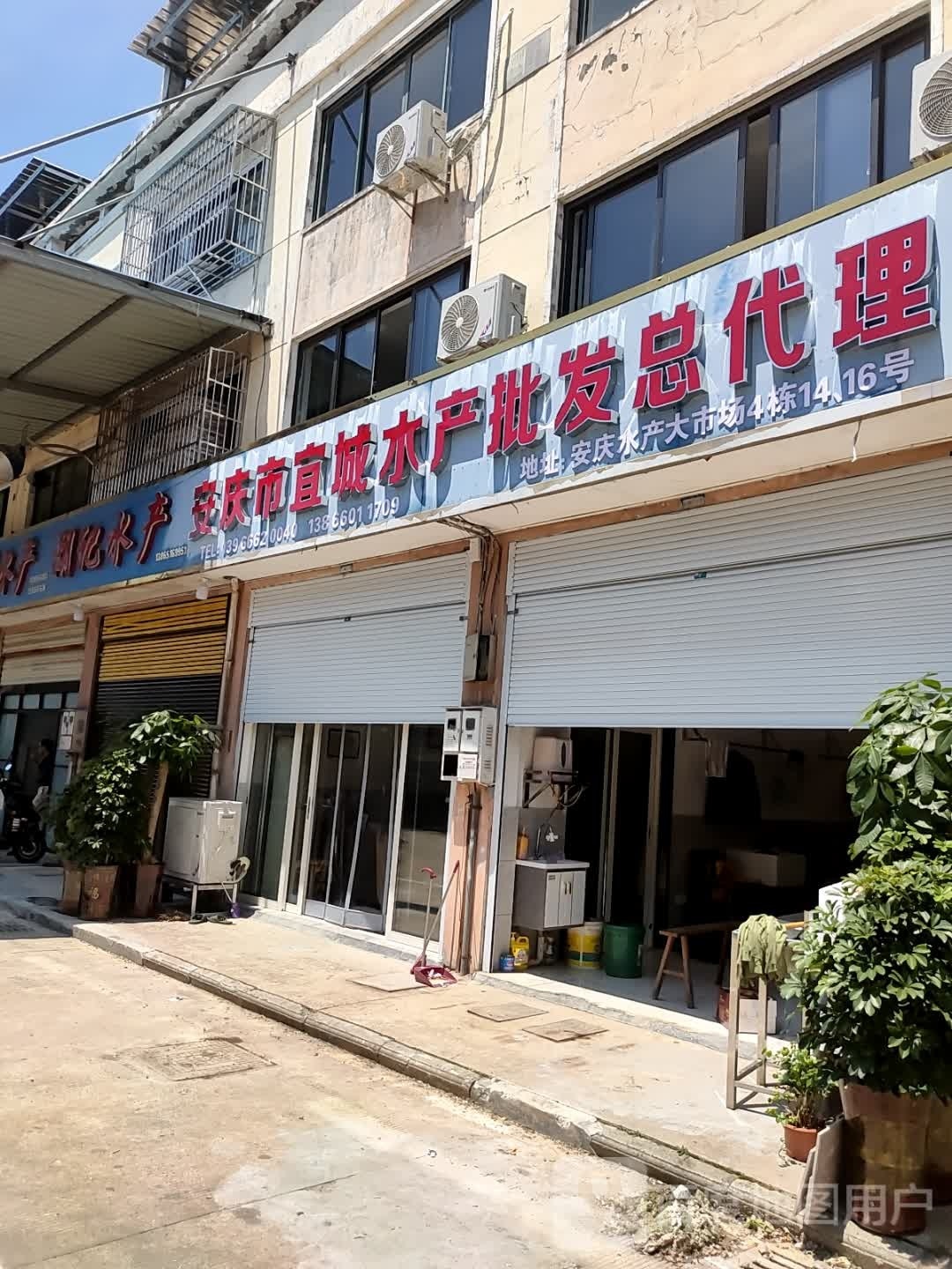 安庆市宜城水产批发总代理