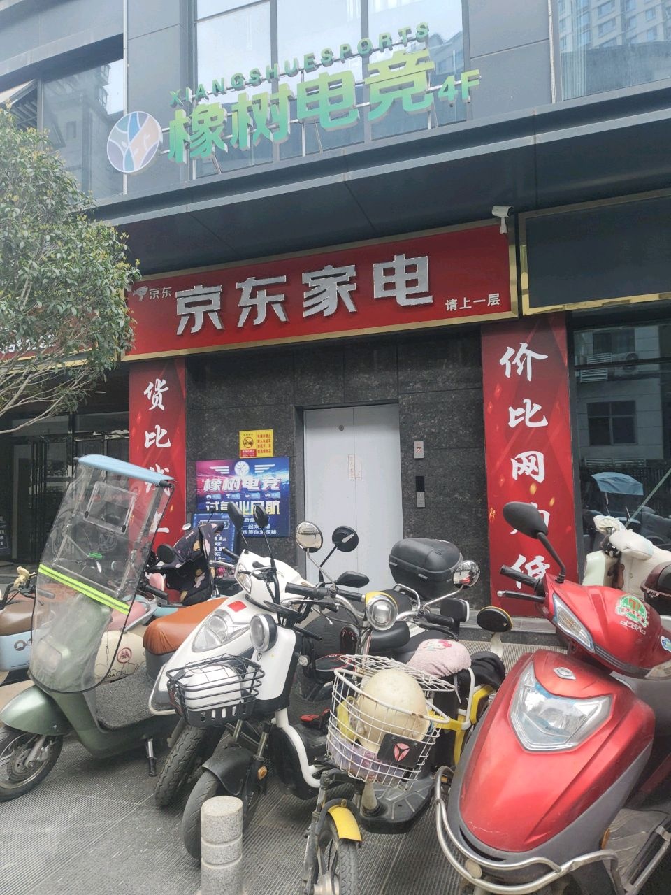 橡树电竞