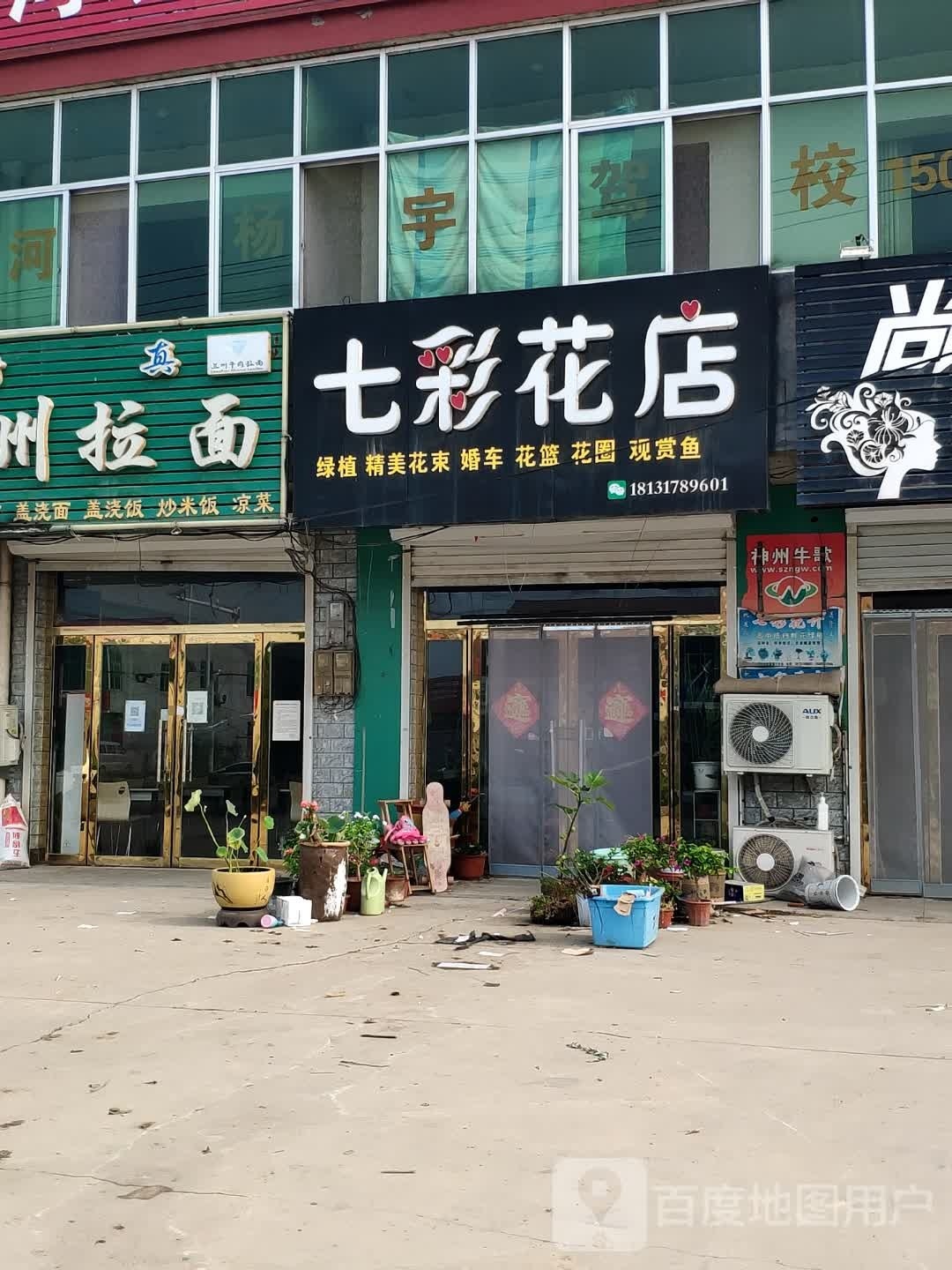 七彩花卉(S381店)