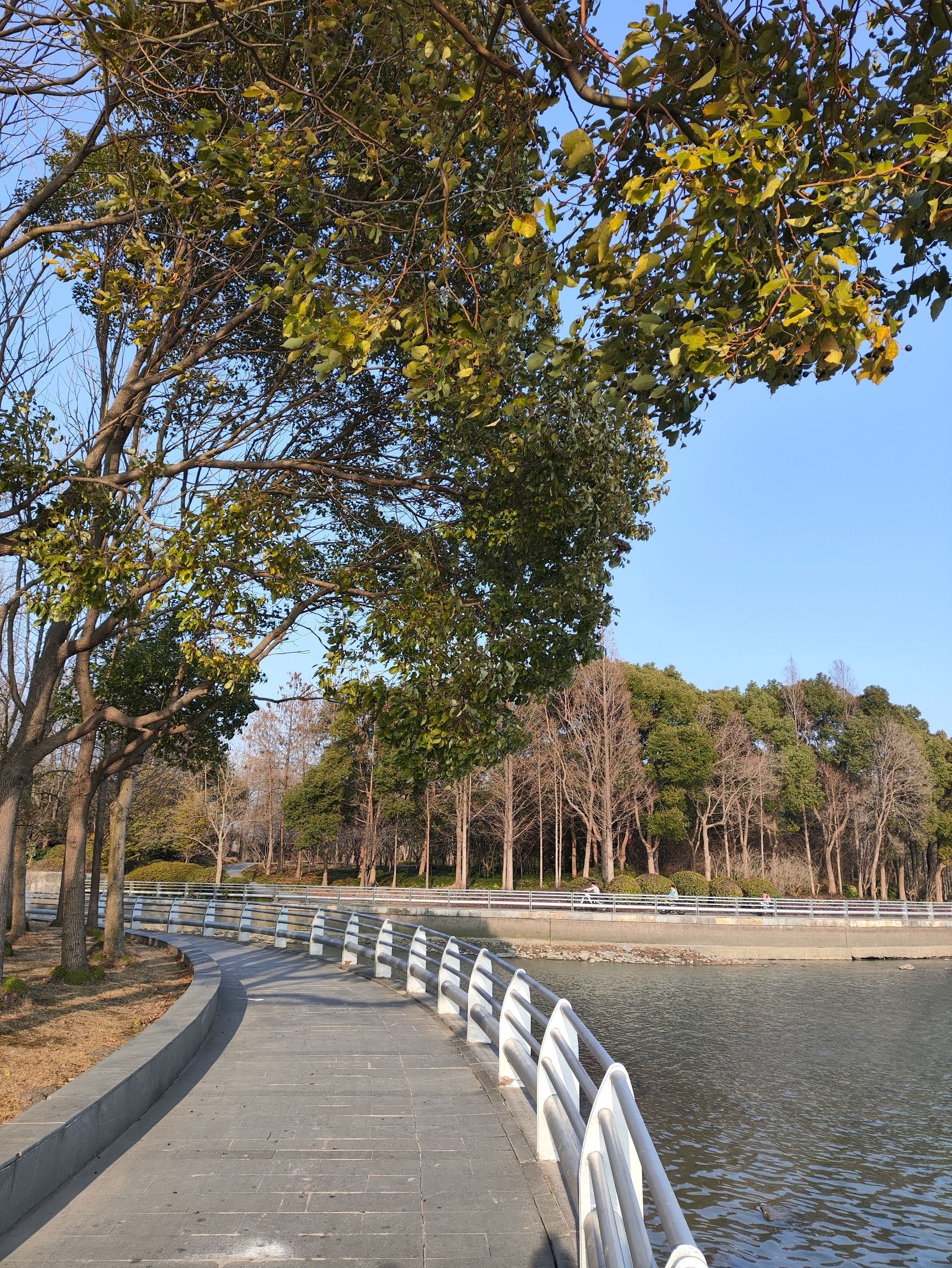 浦江第一湾公园