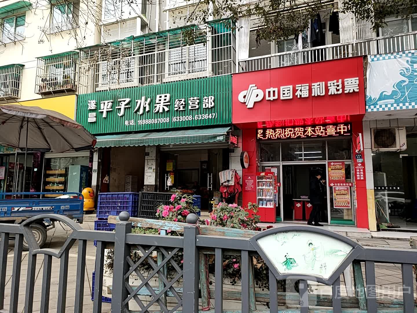 遂昌平子水果经营部