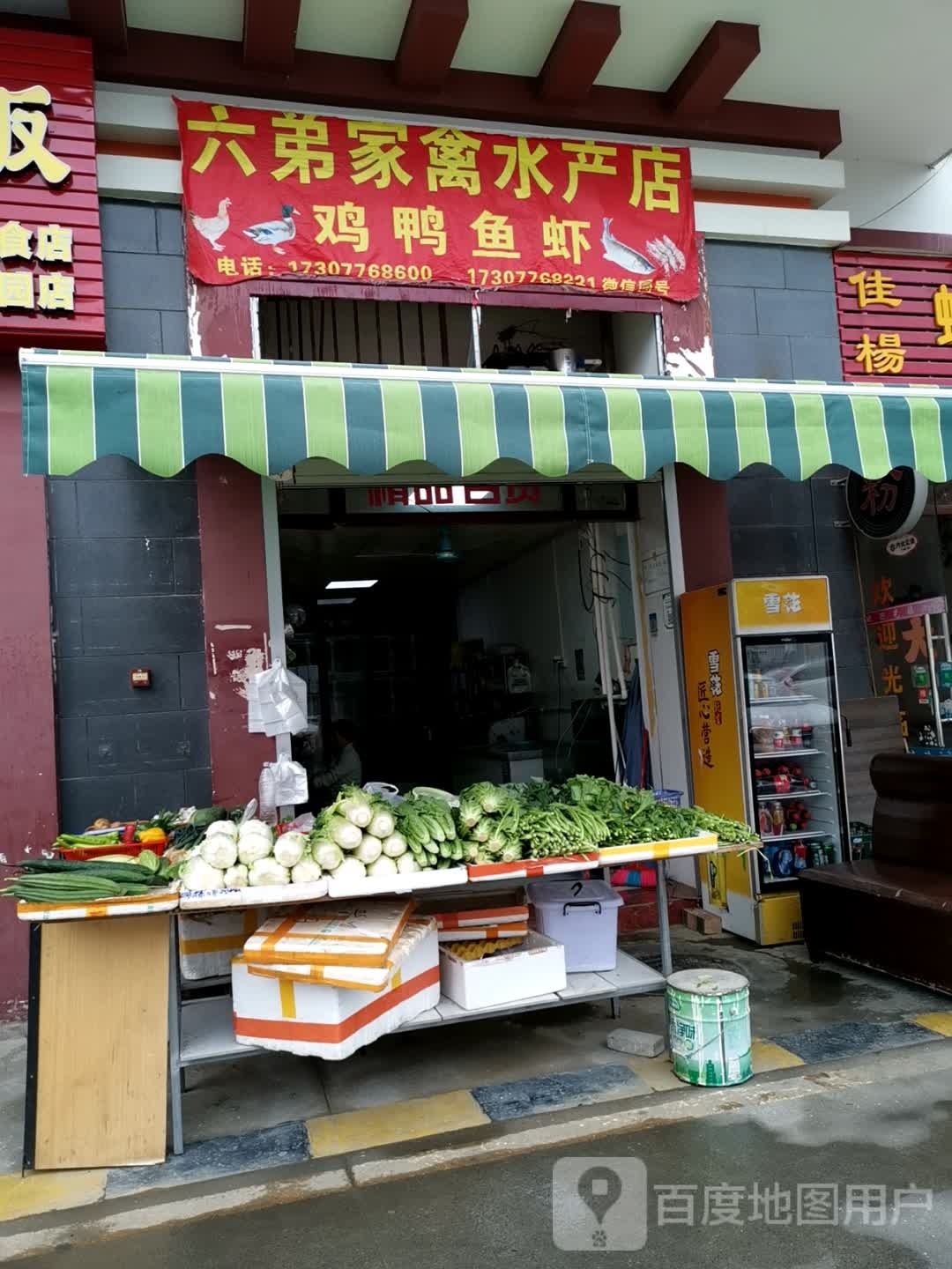 六弟家琴水产店