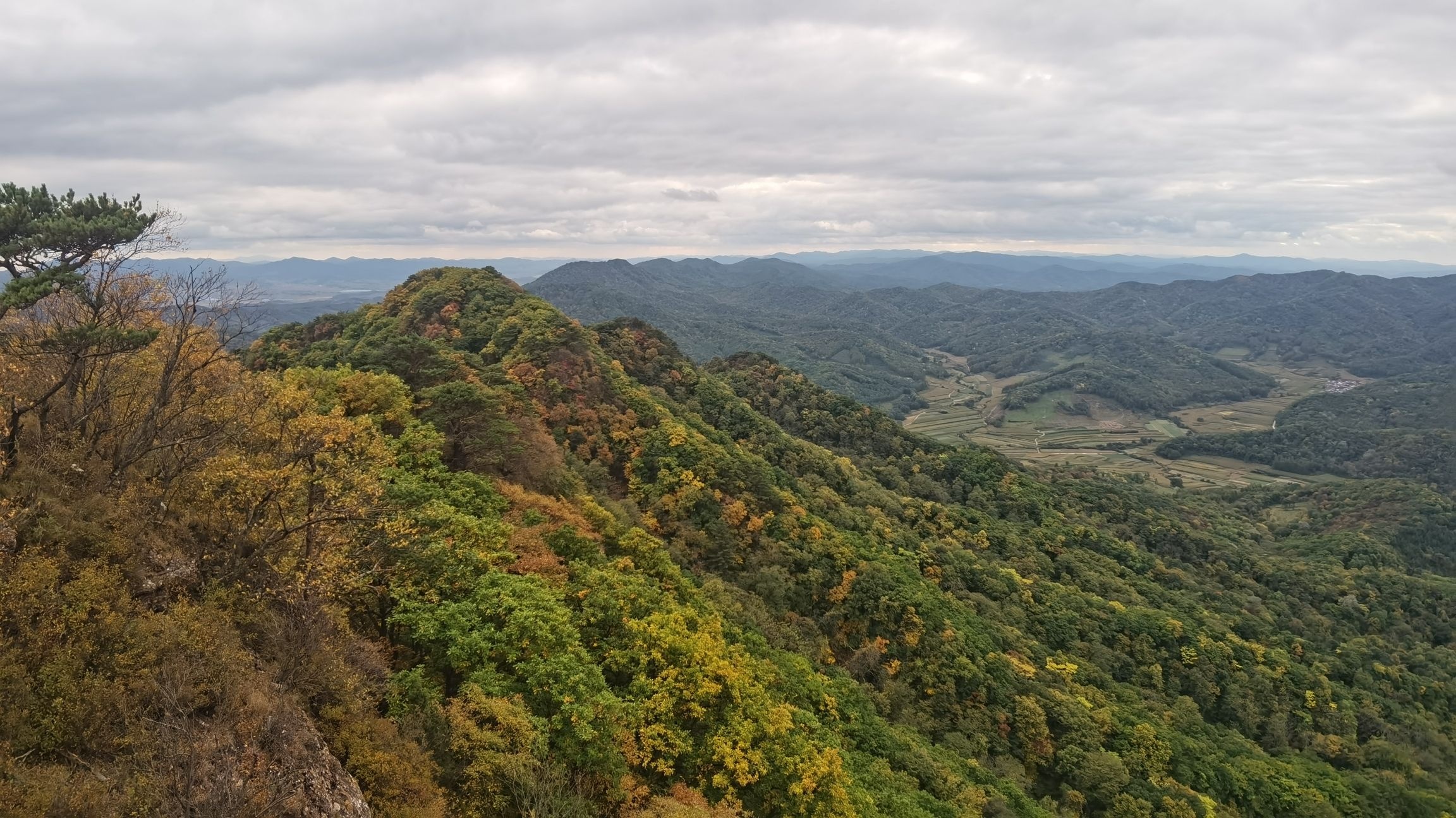 鸡冠山国家森林公园