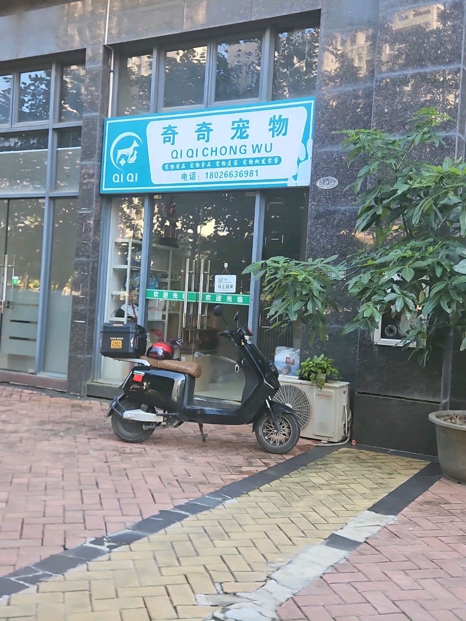 奇奇宠物(德洲·中心城店)