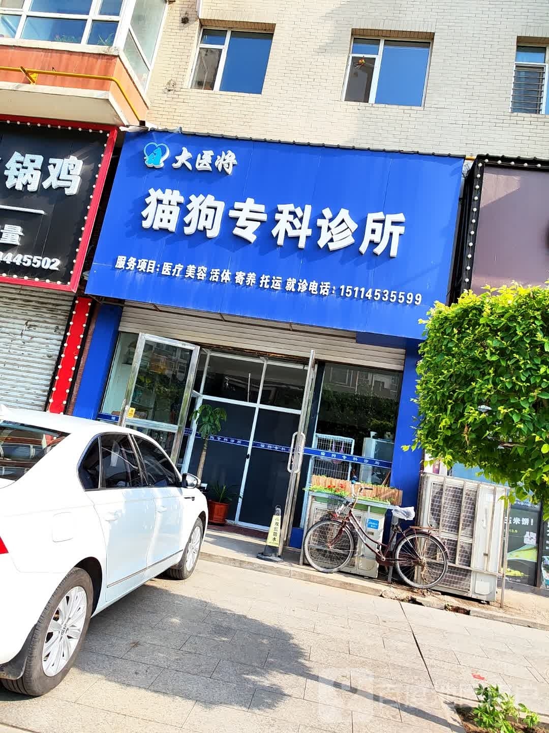大医将猫狗专科动物医院
