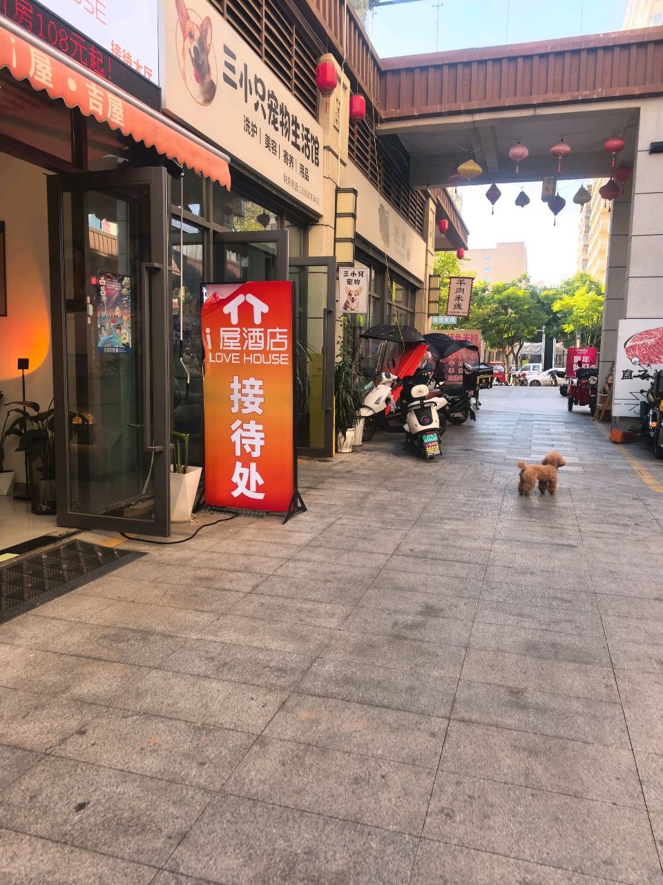 三小只宠物生活馆(领地海月里店)