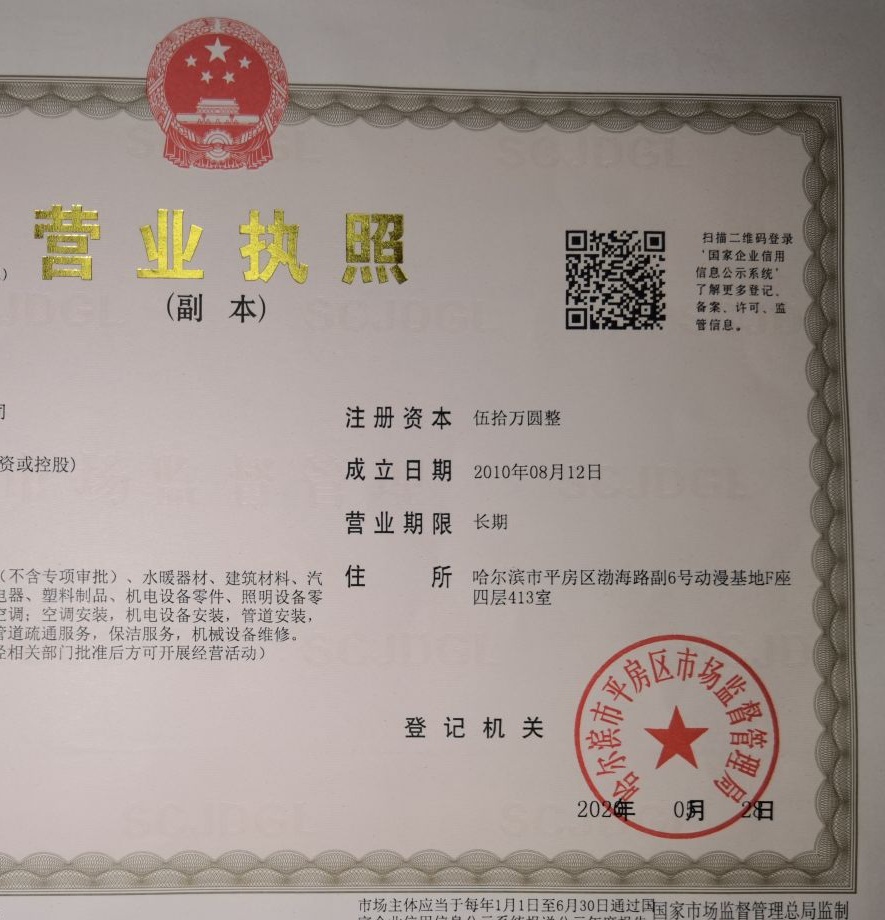 丙辰经贸有限公司