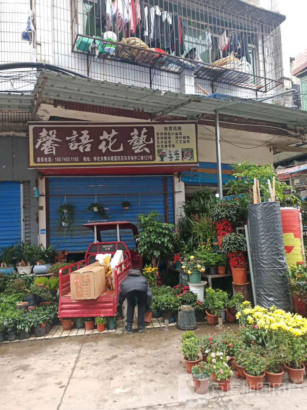 馨语花艺(富民花鸟大市场店)