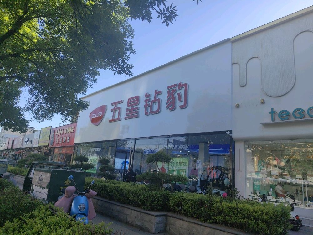 五星钻豹电动车(东区旗舰店)