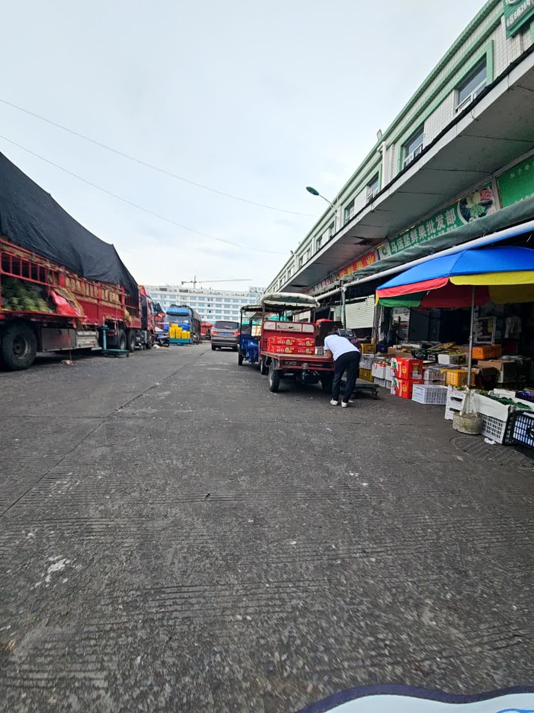 马运坚鲜果批发部