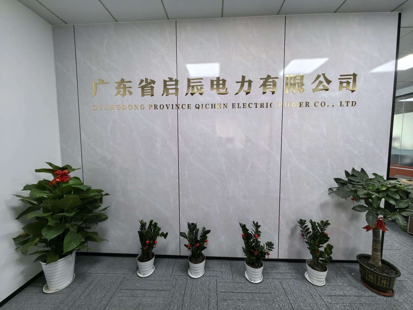 广东省启辰电力有限公司