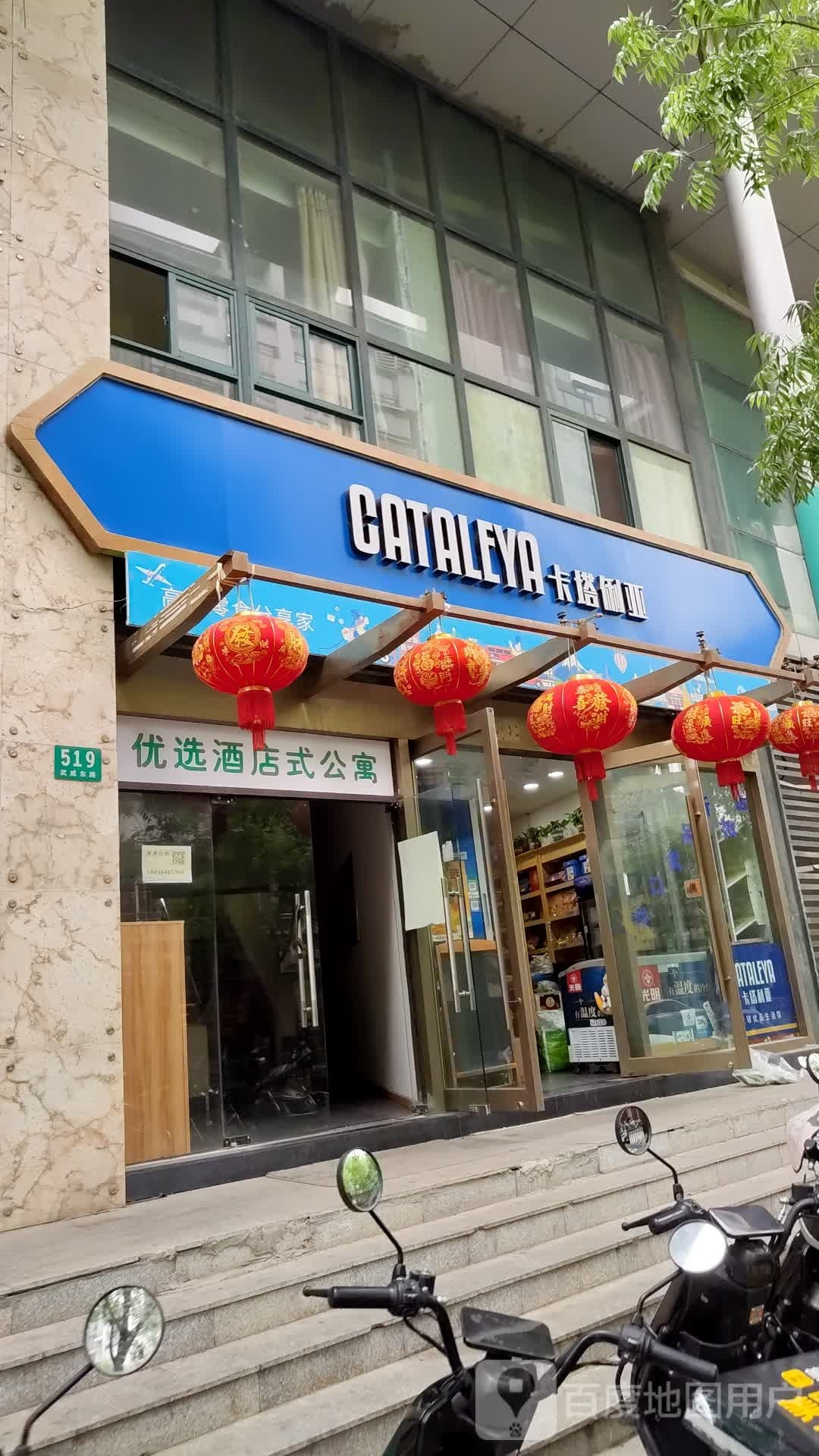 卡他俐亚