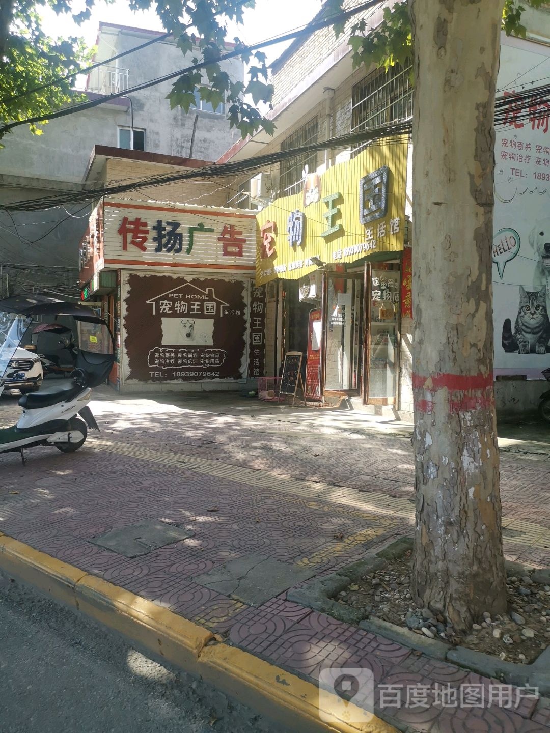 宠物王国生活馆(靖华西路店)