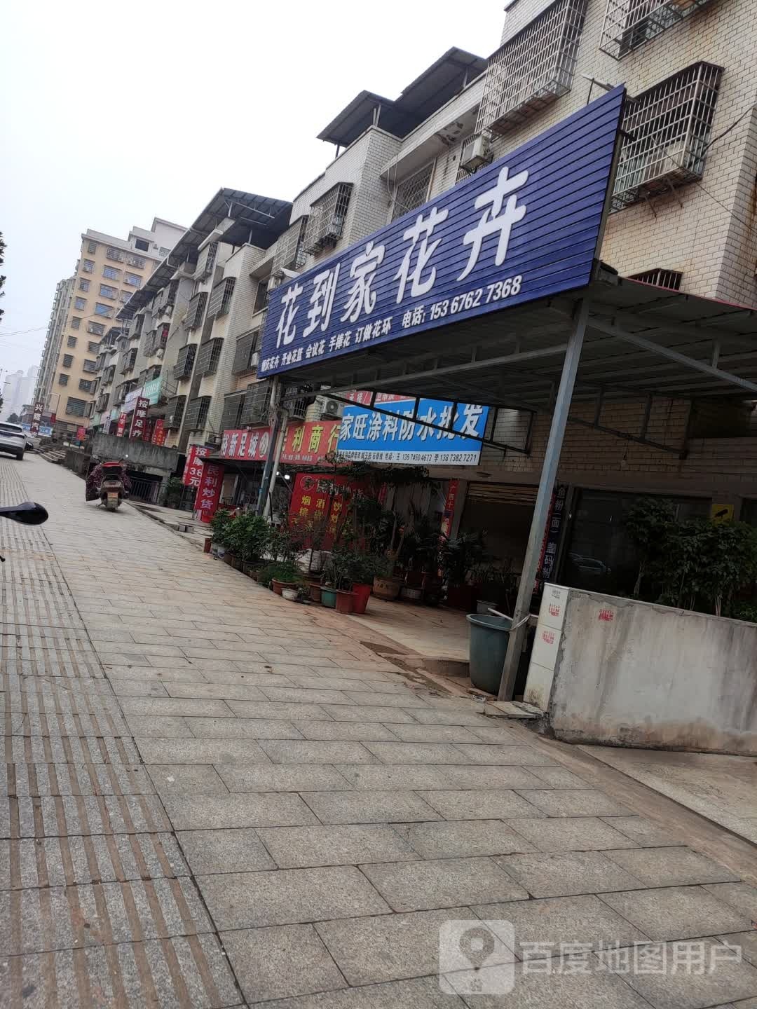 花到家花卉