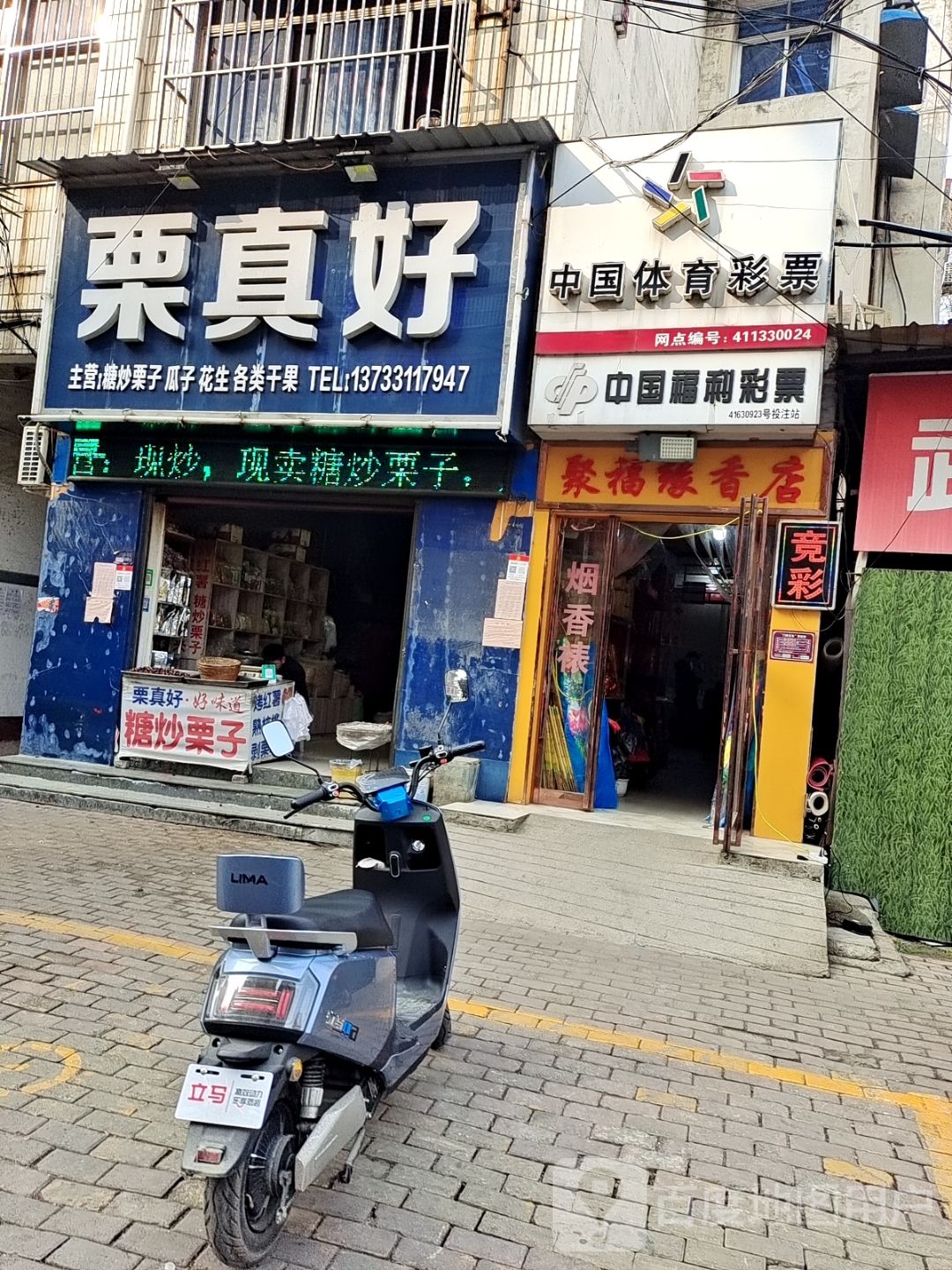 桐柏县栗真好炒栗店