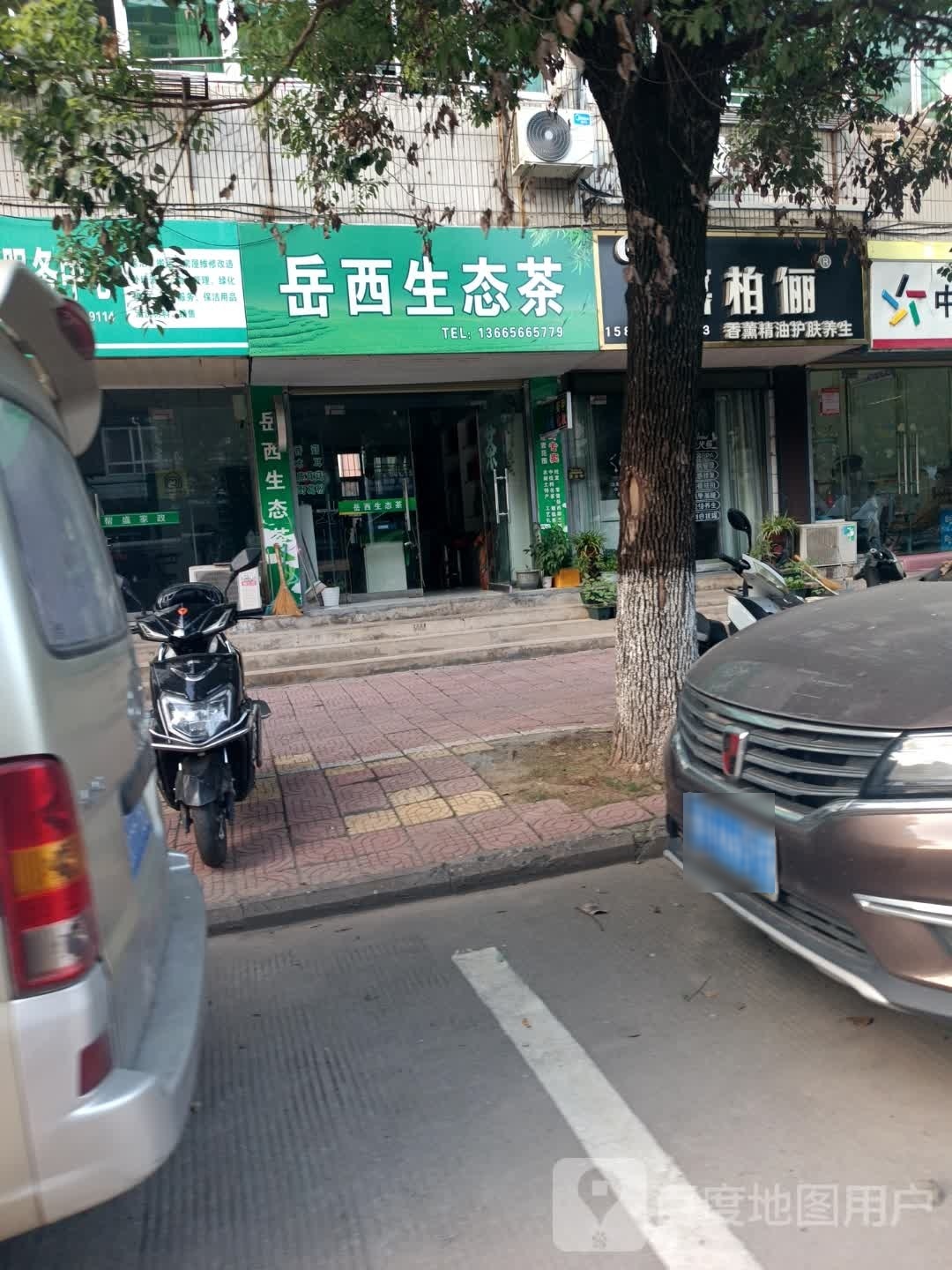 岳西生态茶