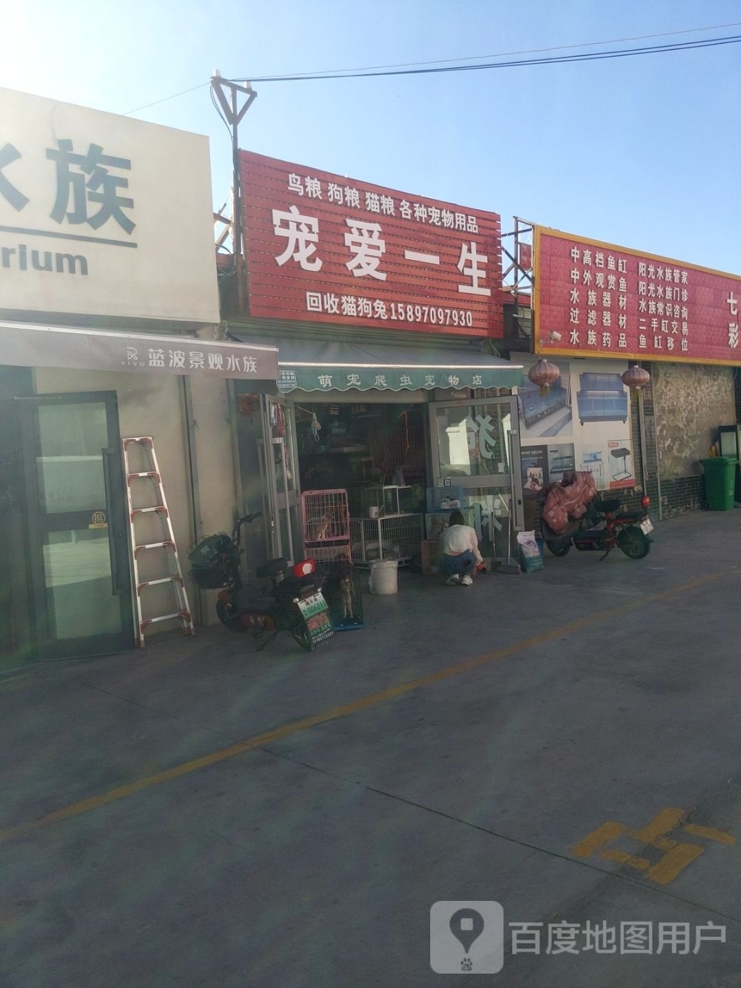 宠爱一生