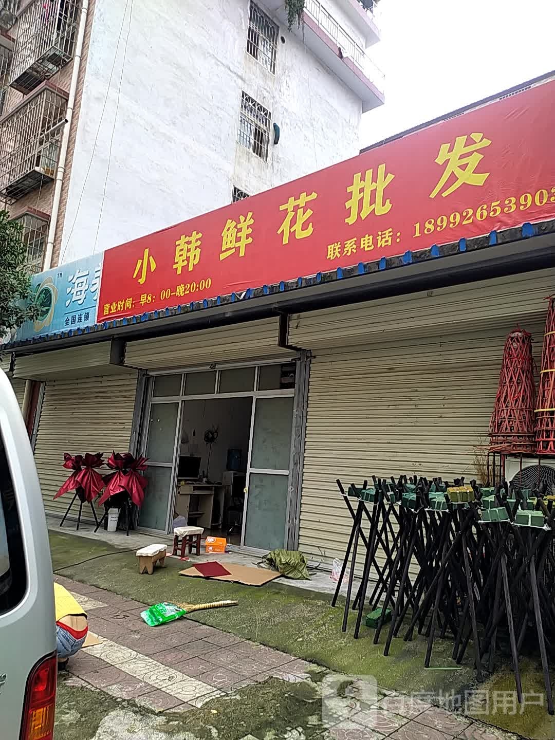 小韩鲜花批发