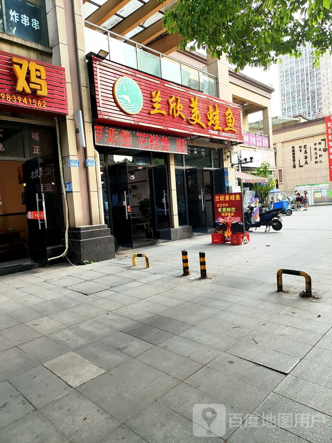 兰欣美蛙鱼