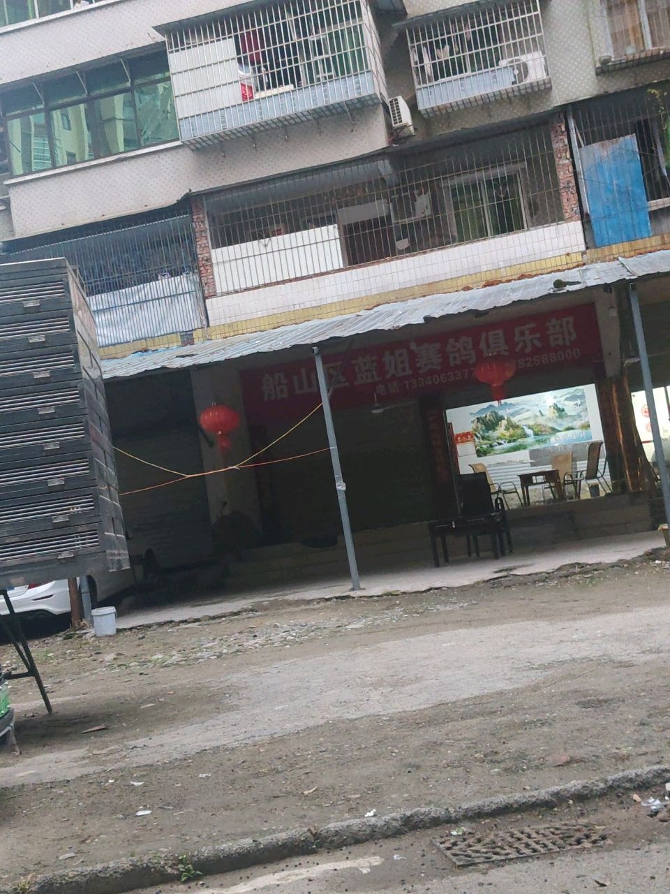 船山区蓝姐赛鸽俱乐部
