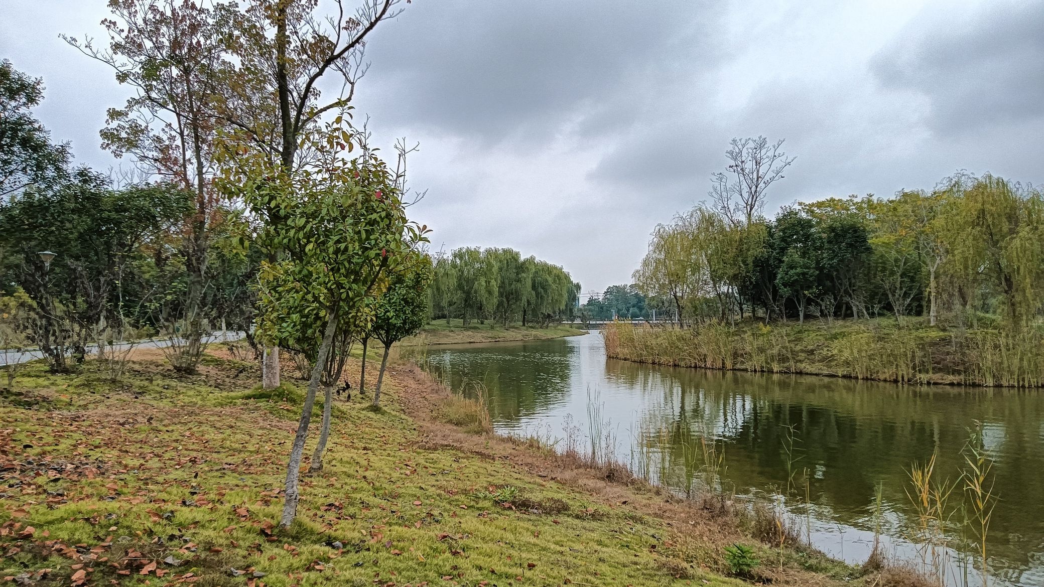 向阳湖公园