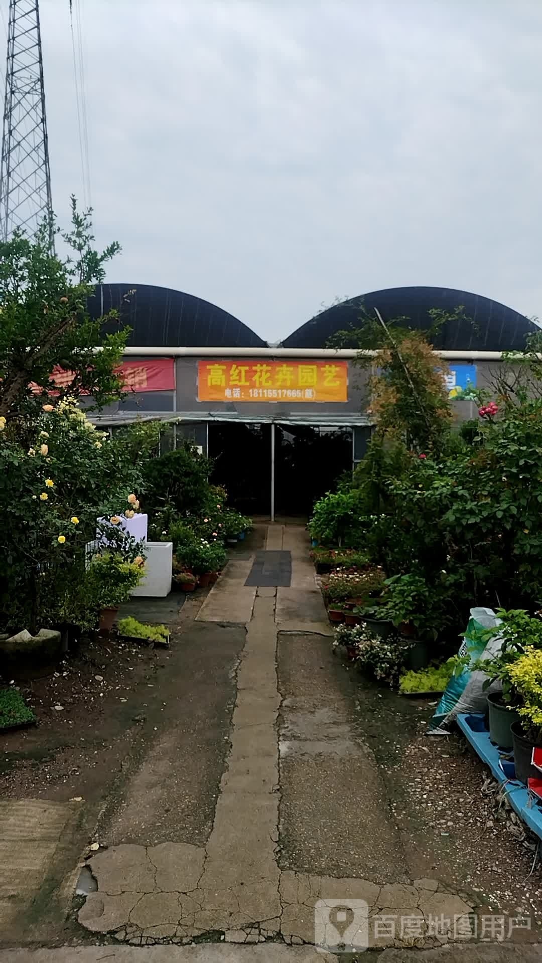 高红花卉园艺(原花木城)
