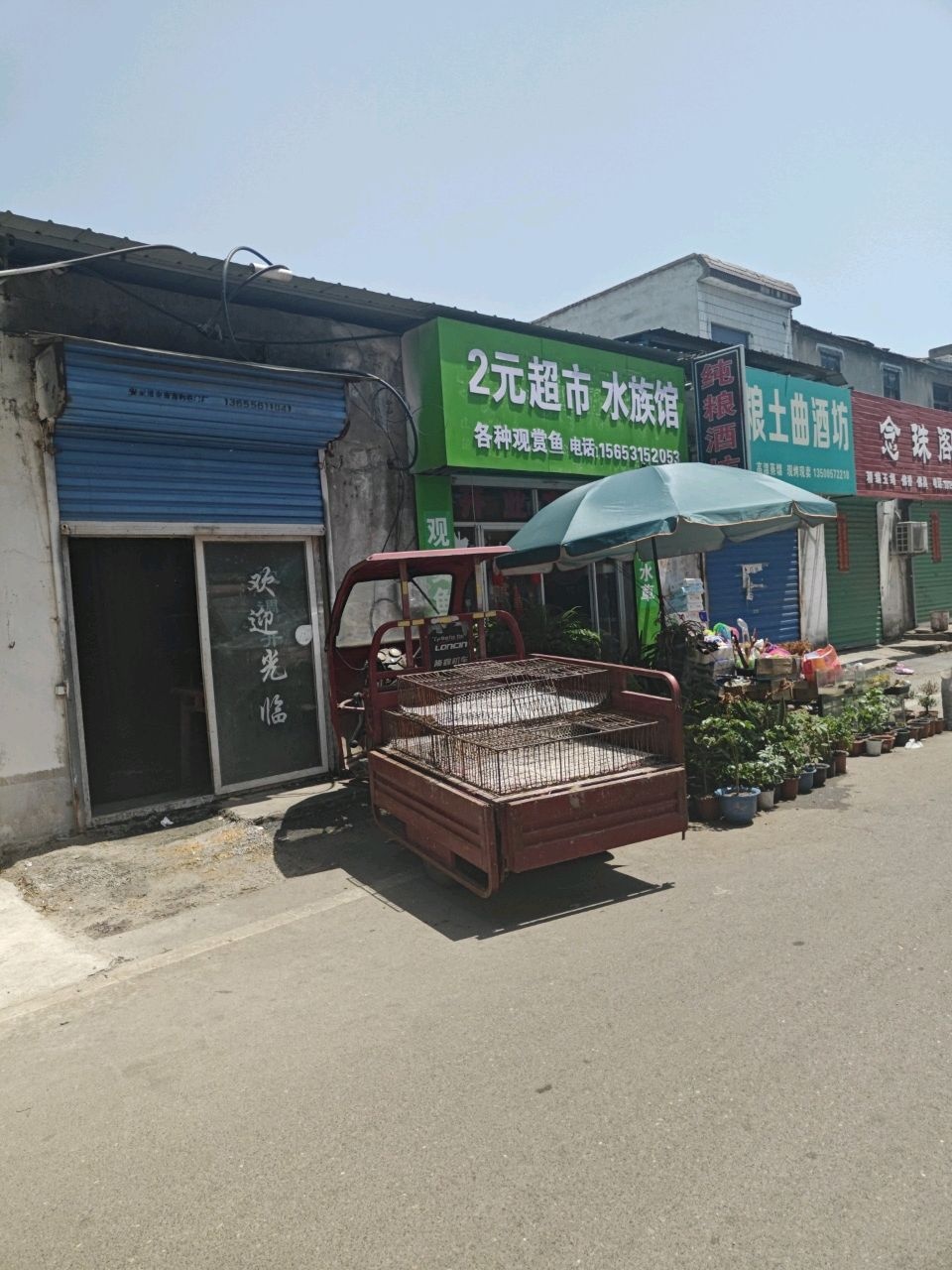 2元超市水族馆