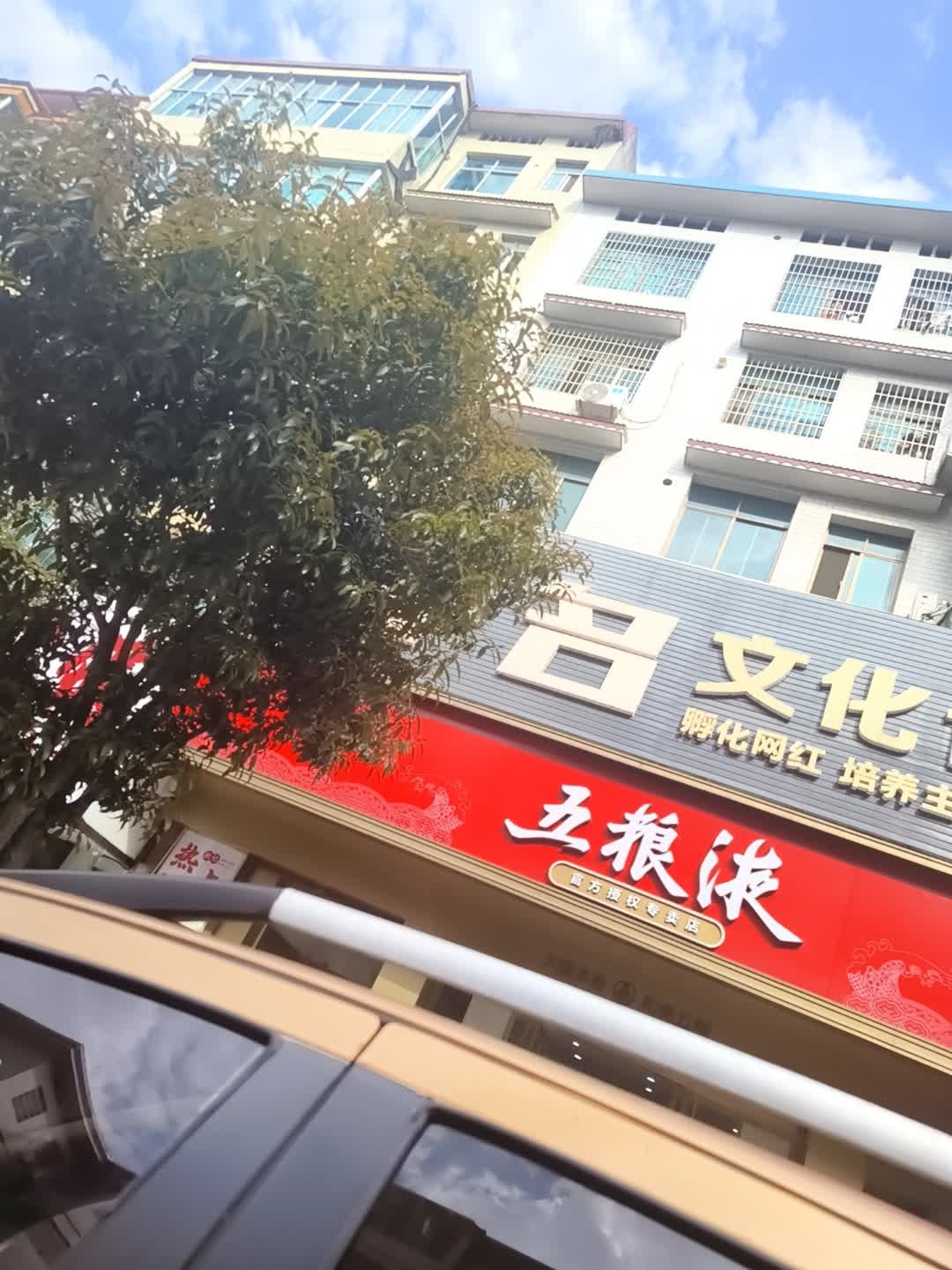 冠武文化传媒