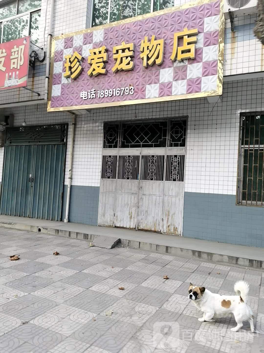 珍爱宠物店