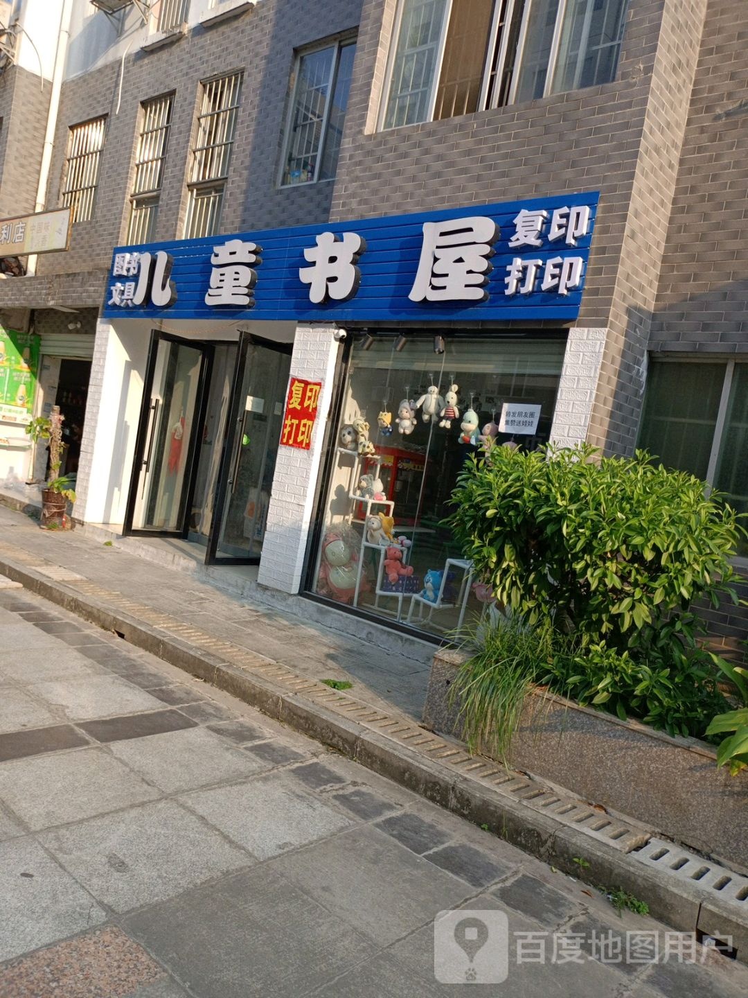 达化芥菜种儿童书屋