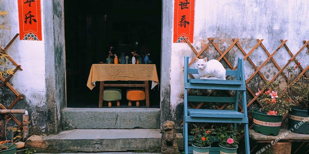婺源栖巷时来客栈(原月华居徽派民居客栈)