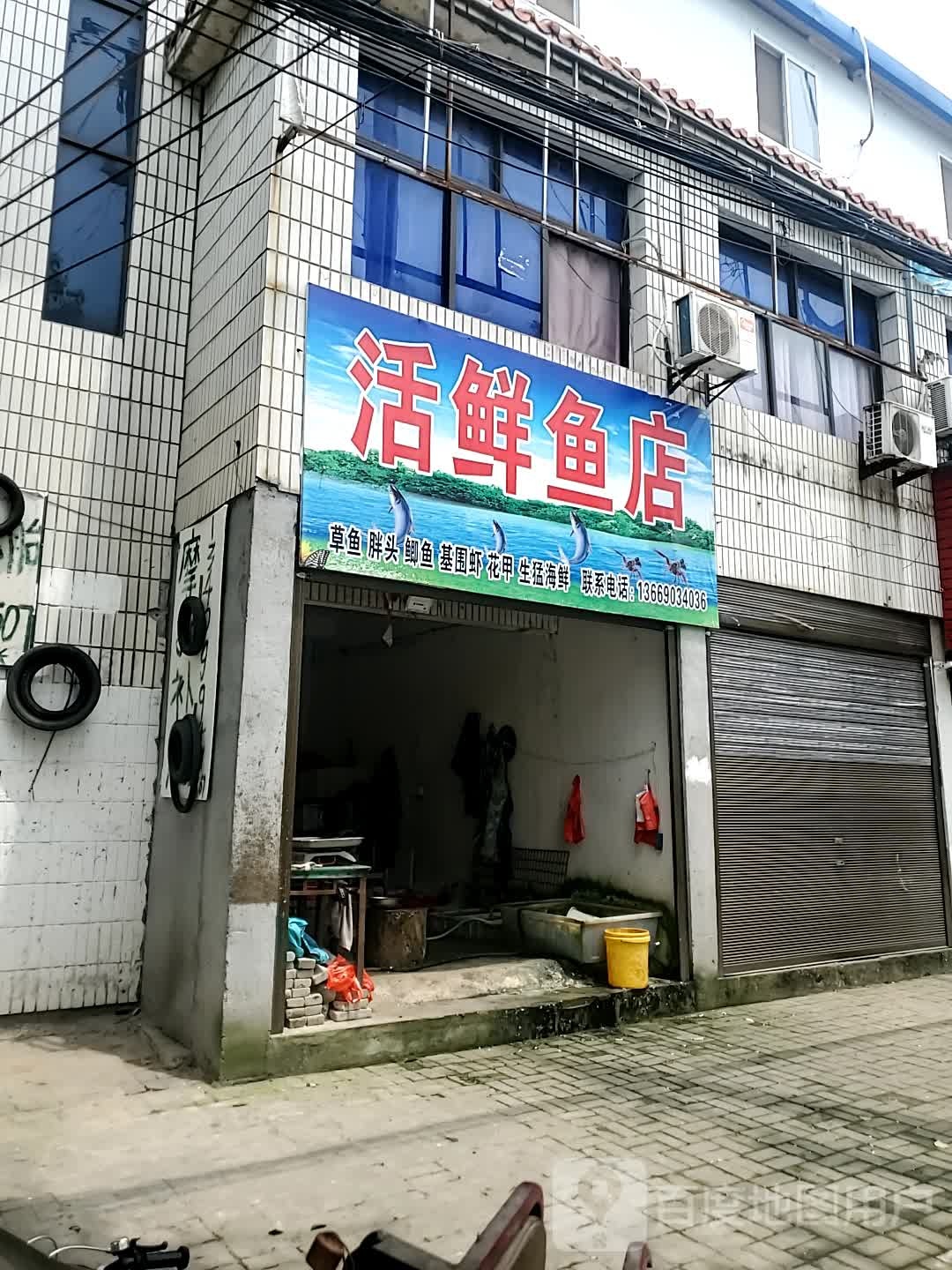 活鲜鱼店