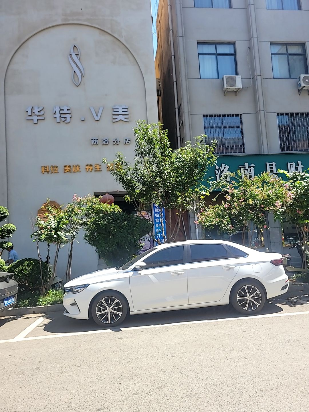 华特·V美