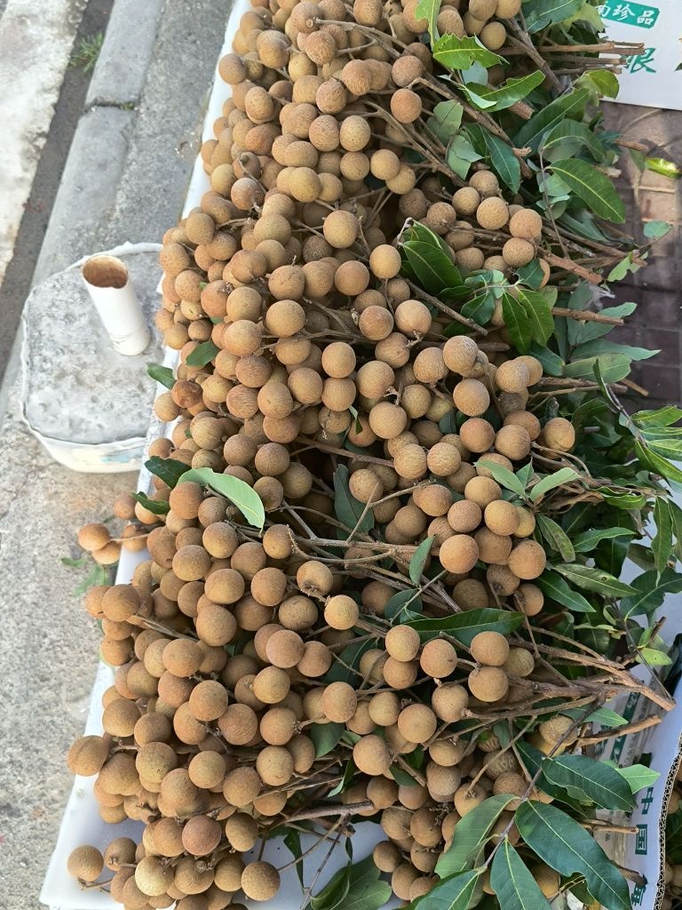 老程水果专卖店