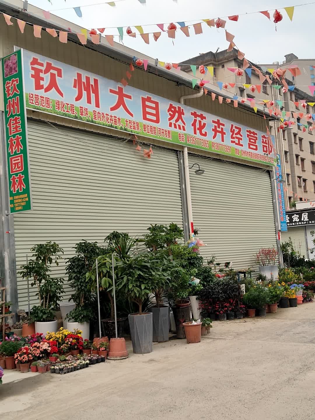 钦州大自然花卉经营部